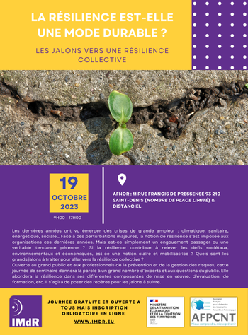 La rsilience est-elle une mode durable ? Les jalons vers une rsilience collective